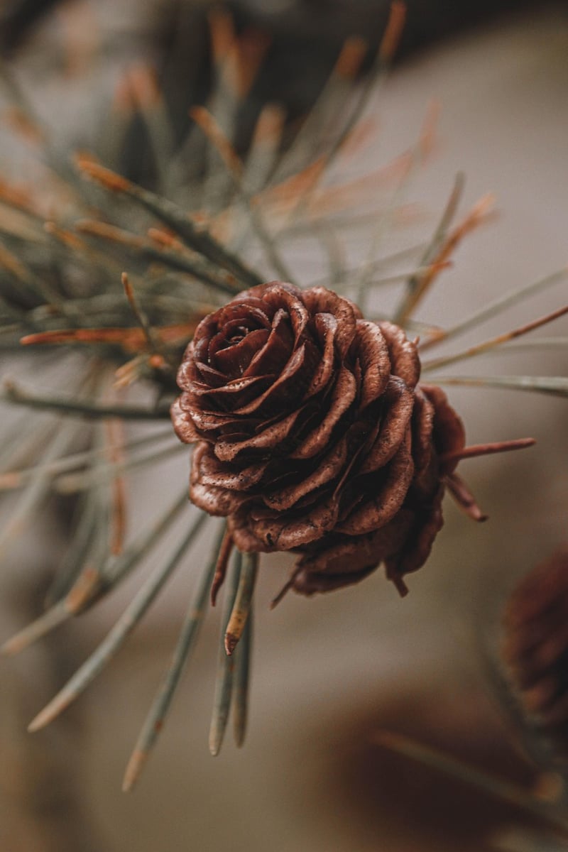 Floral Arrangements